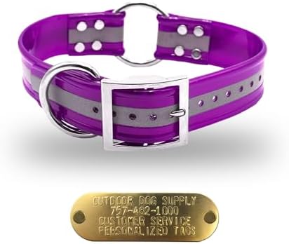 Reflective D & Center Ring 1.5" Dog Collar w Custom Nametag, Purple
