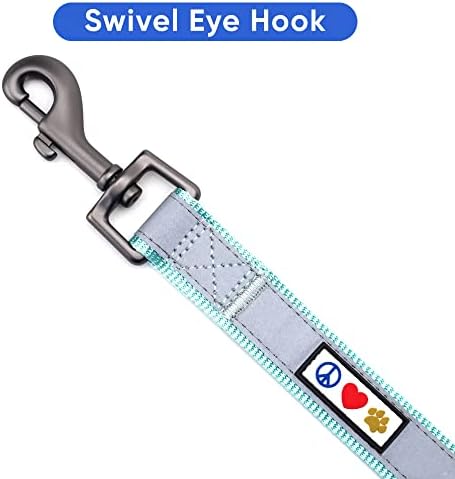 Pawtitas Teal Dog Leash 6 ft Custom ID Lead for Dogs & Puppies Reflective Comfortable Padded Handle Embroidered Name & Phone Number
