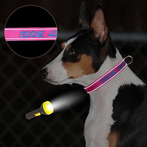 Personalized Dog Collar,Custom Embroidered Dog Collar with Name for XS Small Medium Large XL Large Dogs,Nylon Dog Collar in Purple,Blue,Red,Rose,Cyan for Bog and Girl Dogs
