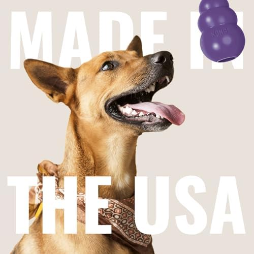 KONG Senior, Gentle Natural Rubber Stuffable Dog Toy, for Large Dogs