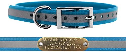 Reflective Waterproof D-Ring Dog Collar w Custom Name Tag, Teal