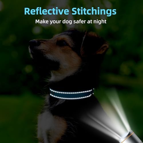 Personalized Dog Collar with Name and Phone Number, Soft Neoprene Padded