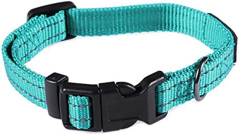 Max and Neo NEO Nylon Buckle Reflective Dog Collar - We Donate a Collar to a Dog Rescue for Every Collar Sold (X-Small, Teal)