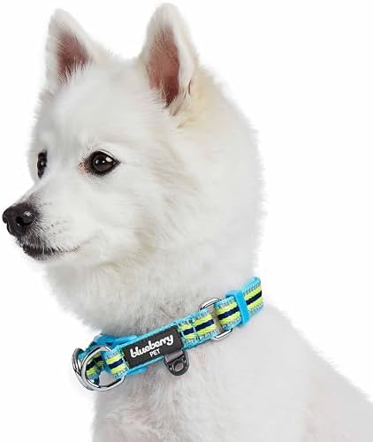 Blueberry Pet Safety Dog Collar with Dual D-Rings | 3M Reflective Multi-Colored Adjustable Collar in Blue and Yellow | Soft Nylon Dog Collar for Active Medium Dogs