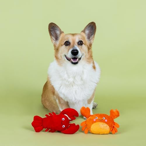 Fringe Studio Plush Dog Toy Set,You're Pretty Snappy Lobster & Crab 2 Piece Set,Pet Shop Collection (312061)