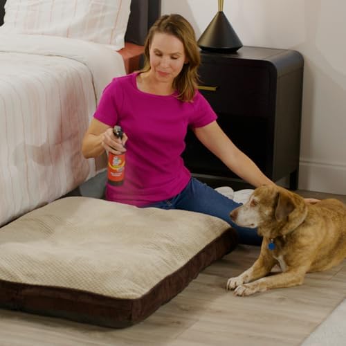 Pet Stain & Odor Eliminator, Multi-Surface Cleaner Spray for Home, Carpet Cleaner for Dog & Cat Areas, 16oz Spray Bottle & Mitt