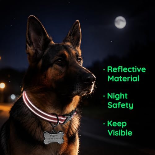 Personalized Dog Collar and Dog Tag Set,Comfortable for Small Medium Dogs