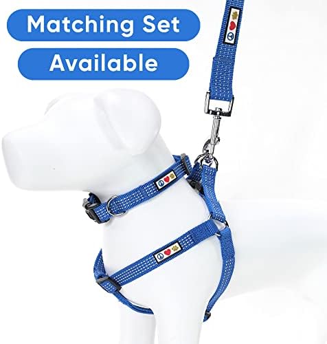 Pawtitas Blue Dog Leash 6 ft XS/S Reflective Durable Lightweight Dog Lead for Small Dogs and Puppies