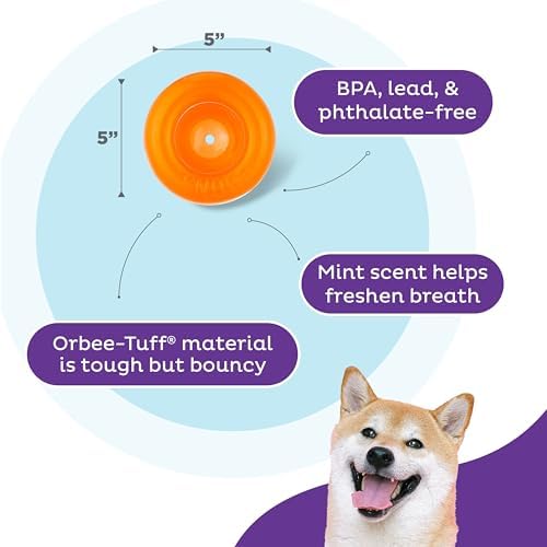 Outward Hound Snoop Interactive Treat Dispensing Dog Toy, Orange, 5"
