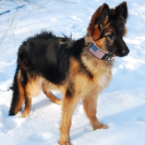 2-Inch Wide Tactical Dog Collar with Control Handle, Adjustable for Medium & Large Dogs, Military Style with Heavy-Duty Metal Buckle, USA Flag Patch & Customizable Name Plate, Training & Everyday Use