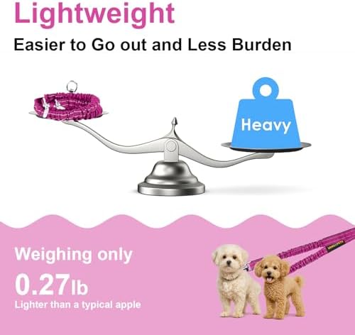 MingXpet 2 Dog Leash, Dog Leash for 2 Dogs, 360° Swivel No Tangle Double Walking Training Leashes for Small Dogs, Comfortable Shock Absorbing Reflective Bungee, Rose