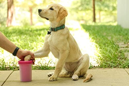 Dexas MudBuster Medium Dog Paw Cleaner, Pink, Fits 1.5"-2.5" Wide Paws, Gentle Silicone Bristles for Quick, Easy Cleaning