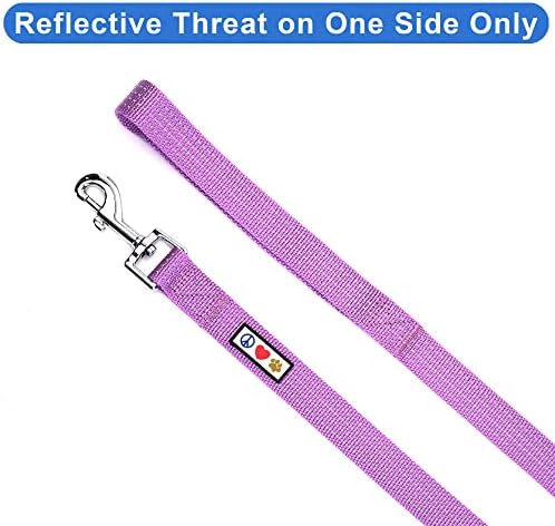 Pawtitas Orchid Dog Leash 6 ft XS/S Reflective Durable Lightweight Dog Lead for Small Dogs and Puppies