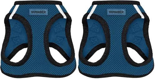 Best Pet Supplies Voyager Step-in Air Harness - All Weather Mesh, Reflective, No Pull Harness for Dogs, Cats - Secure with Hook & Loop Fastener, Buckle, Double D-Rings - Blue/Black Trim, XS