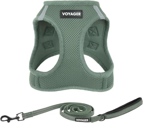Best Pet Supplies Voyager Step-in Air All Weather Mesh Harness and Reflective Dog 5ft Leash Combo with Neoprene Handle, for Small, Medium and Large Breed Puppies - Moss Green, X-Large
