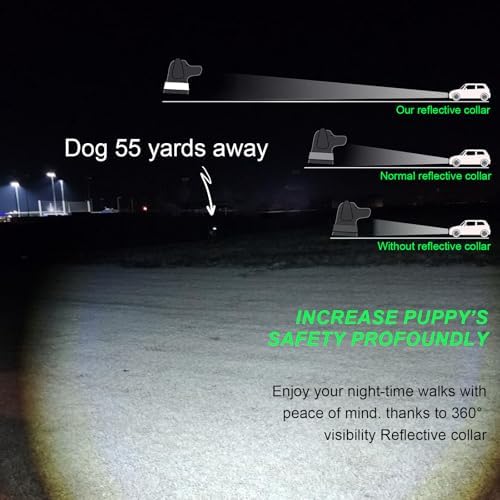 Personalized Reflective Dog Collar Custom Embroidered Name and Number, XL