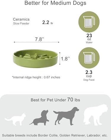 Ceramic Slow Feeder Dog Bowl, Green, Medium