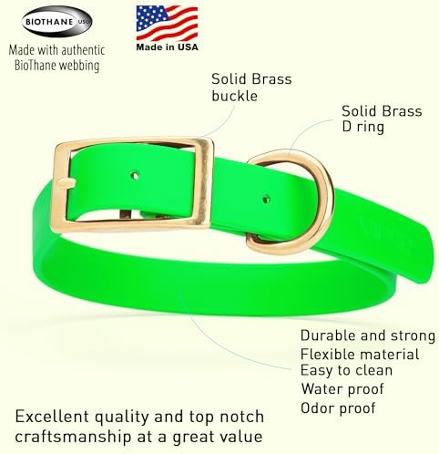 Viper Biothane Heavy Duty Waterproof Dog Collar Strong Coated Nylon Webbing w/Solid Brass Hardware Odor-Proof Easy to Clean High Performance Fits Small Medium or Large Dogs, Tropical Green