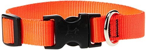 LupinePet Basics 3/4" Blaze Orange 15-25" Adjustable Collar for Large Dogs