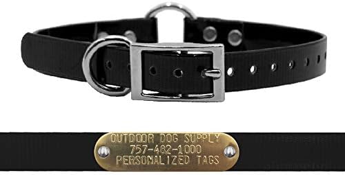 Light Weight Waterproof D & Center Ring Dog Collar w Custom Name Tag, Black