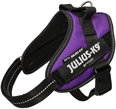 Julius-K9 IDC Powerharness, Size: S/Mini, Dark Purple