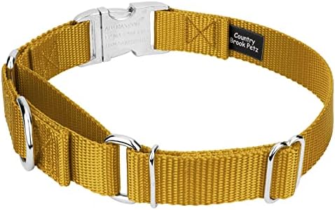 Country Brook Petz - Martingale Dog Collar - Heavy Duty Nylon Adjustable Martingale Dog Collar with Metal Buckle for Small Medium Large Breeds - 30+ Color Options (3/4 Inch, Small, Gold)