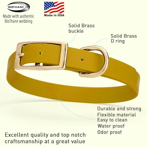 Viper Biothane Heavy Duty Waterproof Dog Collar Strong Coated Nylon Webbing w/Solid Brass Hardware Odor-Proof for Easy Care to Clean High Performance Fits Small Medium or Large Dogs, Treasure Gold