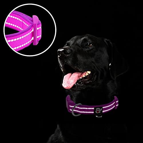 azuza Reflective Dog Collar, Neoprene Padded Puppy Collar, Purple, XS