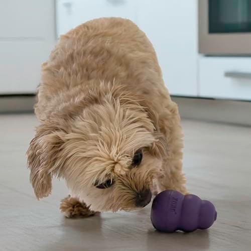 KONG Senior, Gentle Natural Rubber Stuffable Dog Toy, for Small Dogs