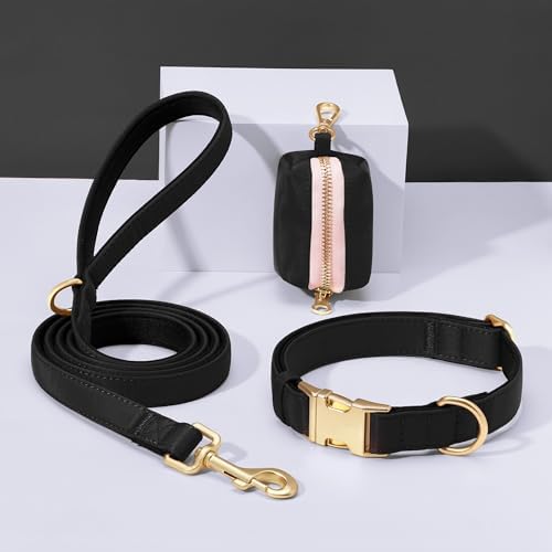 Didog Soft Padded Dog Collar for Large Dogs, Black, L Neck 16-22"