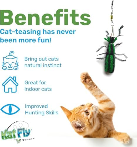 2 Inch Handmade Cat Toy Teaser Beetle (1, Green, Refill Only)