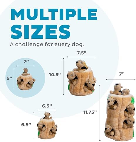 Outward Hound Hide-A-Squirrel Dog Toy – Interactive 2‑in‑1 Plush Puzzle with 3 Squeaky Removable Squirrels, Small (Pack of 12)