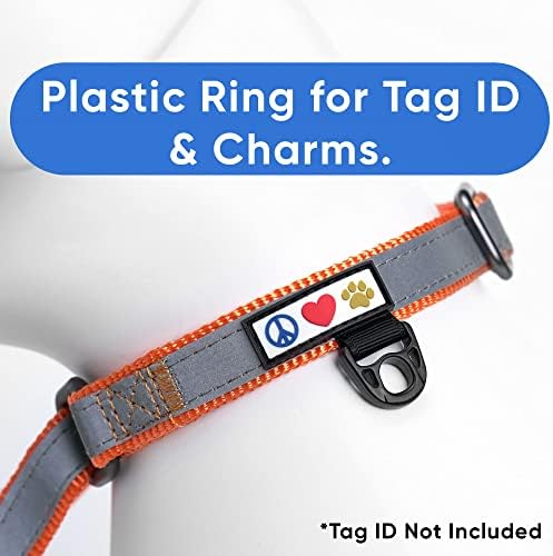 Pawtitas Orange Reflective Martingale Dog Collar, Small