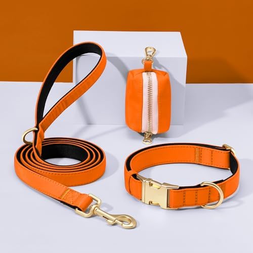 Didog Soft Padded Dog Collar for Large Dogs, Orange, L Neck 16-22"