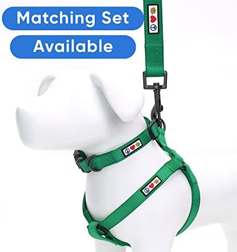 Pawtitas Solid 6 ft Lush Green Dog Leash XS/S Custom Name and Phone Embroidery Strong Nylon Leash for Small Breeds