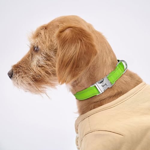 Silent Dog Collar Personalized with Name Phone Number Laser Engraved