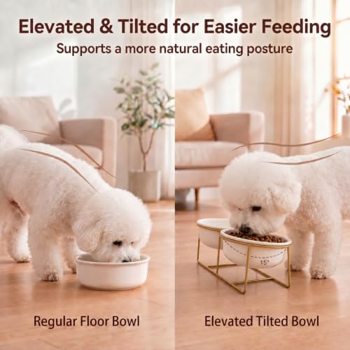 Large Small Double Elevated Dog Bowls - Raised Dog Bowl - Ceramic Dog Cat Bowl Set for Food and Water - Pet Comfort Feeding Bowls with Gold Iron Stand