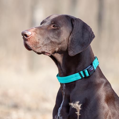 Dogline Cyan Blue Nylon Collar (W: 3/4" L: 13"-20")