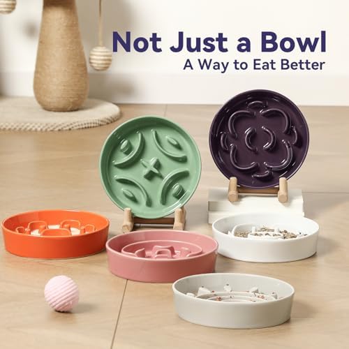 Ceramic Slow Feeder Dog Bowl, 0.8 Cups Anti -Slip Slow Feeding Bowl to Slow Down Eating, 6.3 Inch Dog Food Dish for Small Breeds, Green