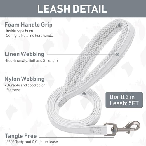 GAMUDA Small Pet Harness Collar and Leash Set, Step in No Chock No Pull Linen Fabric Soft Mesh Dog Vest Harnesses Reflective for Dogs Puppy Cats Kitten Rabbit (White, XXS)