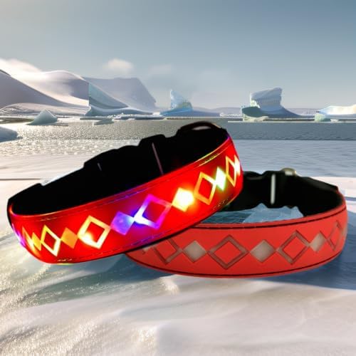 Personalized Flashing Dog Collar with Laser Engraved ID Tag