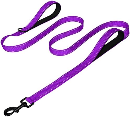 Joytale Dog Leash for Large Dogs that Pull, Double Handle, 6FT, Purple