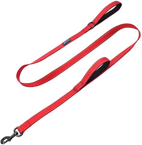 Max and Neo Double Handle Traffic Dog Leash - Reflective, 4 FT (RED)