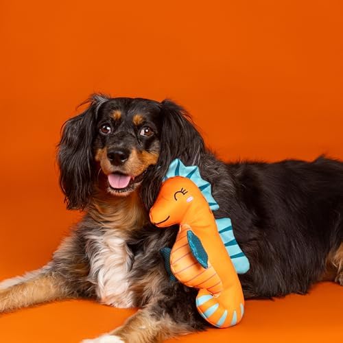 Fringe Studio Floating Dog Toy Living in A Bubble, Pet Shop Collection (640026)