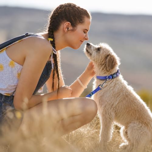 Roses&Poetry Small Dog Collar and Leash Set, Puppy Reflective Leashes with Collars, Adjustable Durable Matching Collar Leash for Small Dogs Girl (BluePurple-S)