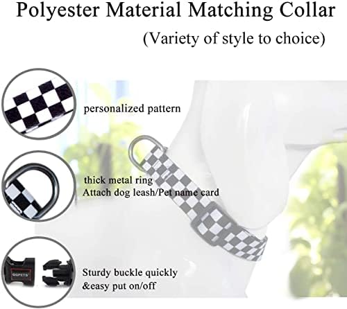 Roses&Poetry Dog Collar and Leash for Medium Large, Adjustable Durable 5ft Puppy Leash Collar for Dog Training Lead（Black & White-L）