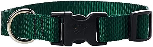 LupinePet Basics 3/4" Green 9-14" Adjustable Collar for Small Dogs