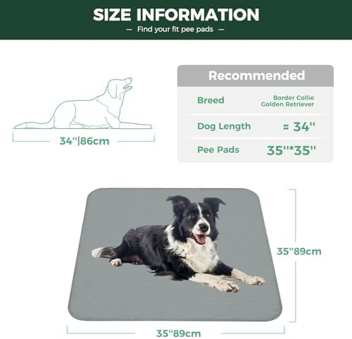 FXW Washable Pee Pads for Dogs, Super Absorbent, 35" Square, 4 Packs