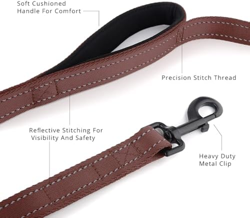 Plutus Pet Double Handle Dog Leash, 6 FT Long, for Medium Large Dogs