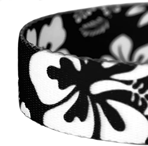 Country Brook Petz - Black Hawaiian Everyday Dog Leash - Summer Breeze Collection Featuring Sunny Designs (4 Foot, 5/8 Inch Wide)